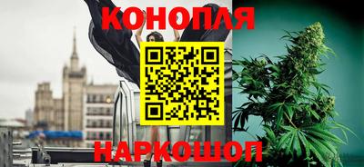PSILOCYBIN Кохма