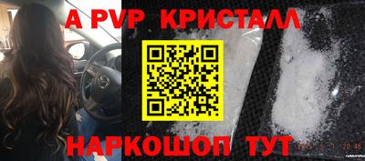 шишки Котовск