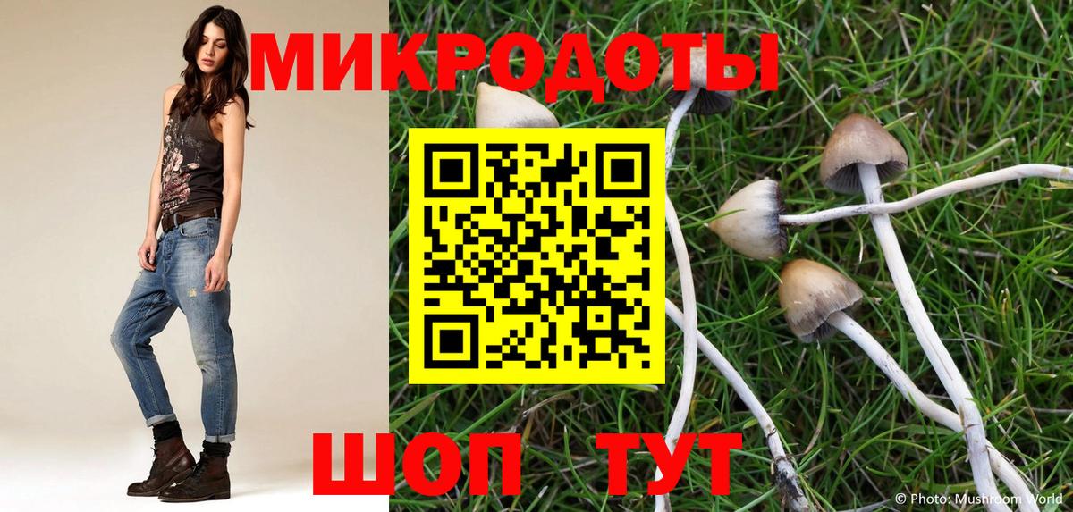 Карталы  Псилоцибиновые грибы MAGIC MUSHROOMS  что такое   Вход с VPN 